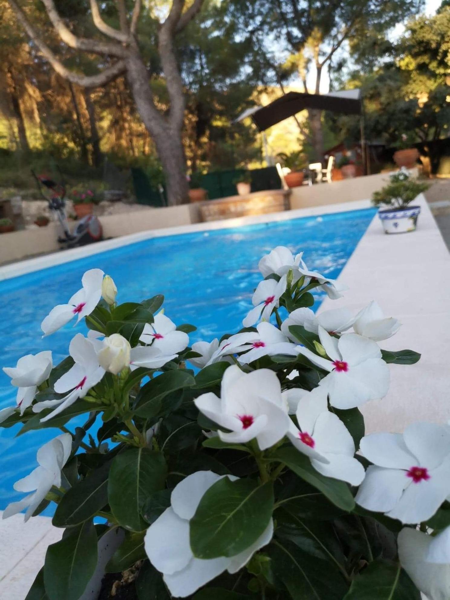 Casa Jetizo Bed & Breakfast Ontinyent Eksteriør bilde