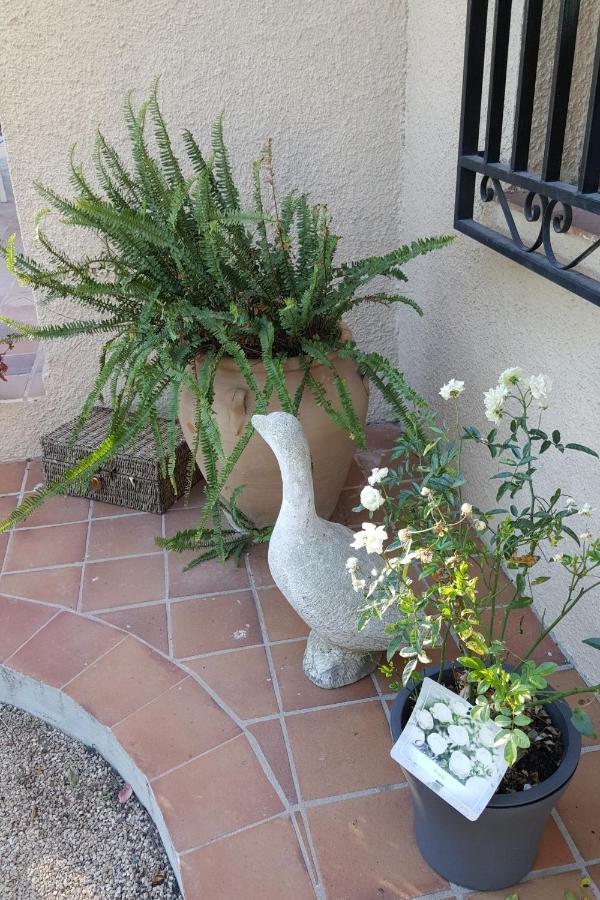 Casa Jetizo Bed & Breakfast Ontinyent Eksteriør bilde