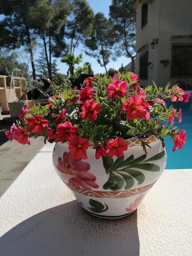 Casa Jetizo Bed & Breakfast Ontinyent Eksteriør bilde